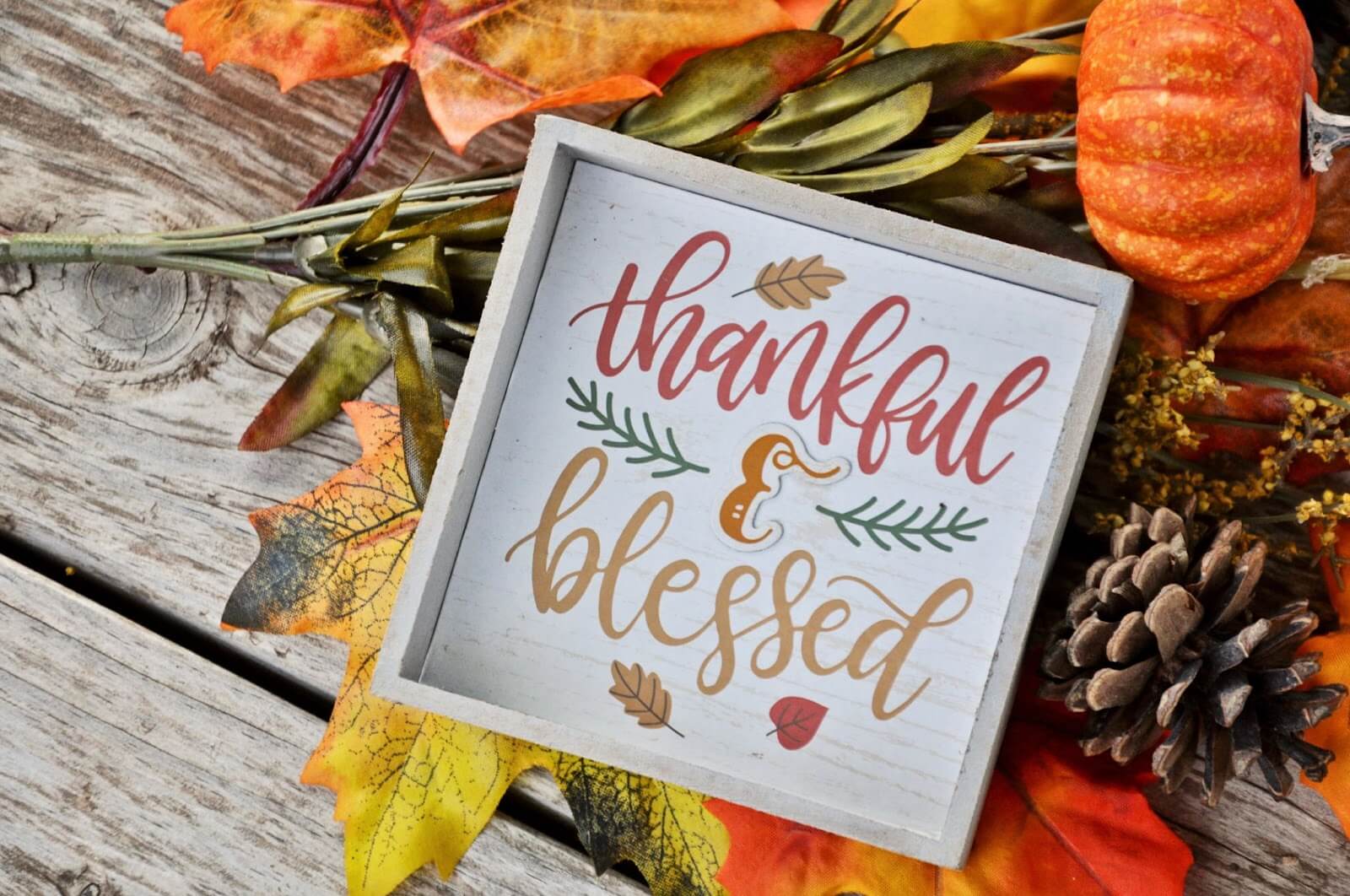 thankful & blessed sign, pumpkins